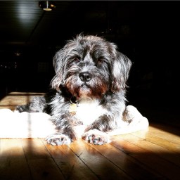 Dear People Who Think I’m Crazy