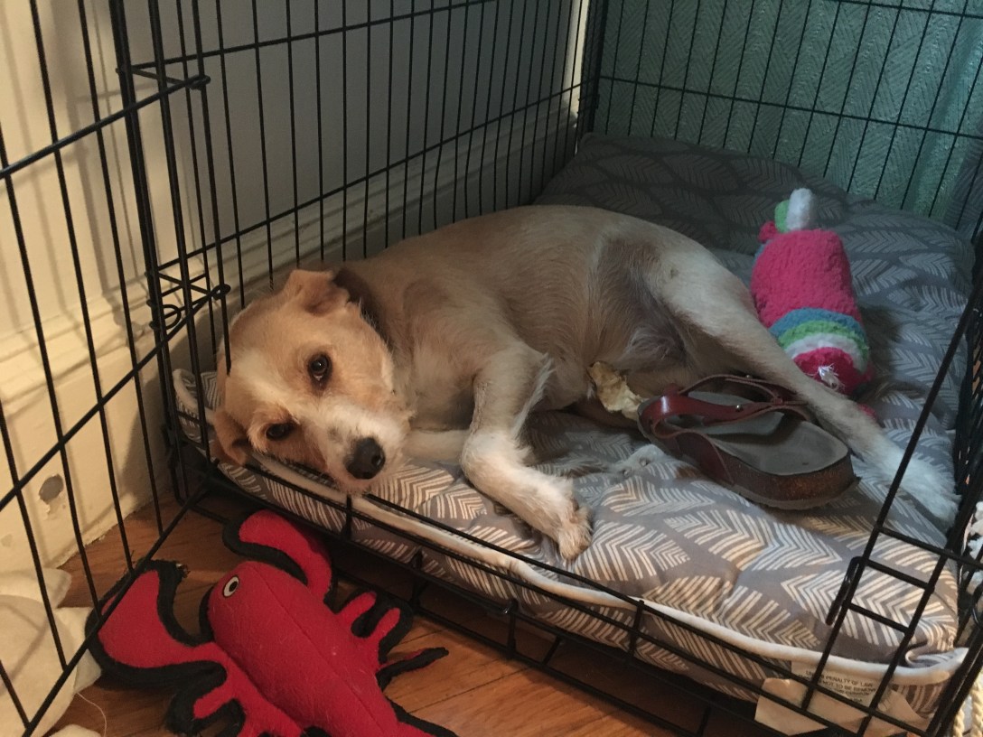 "Wait, wait...was she a great big fat person?"