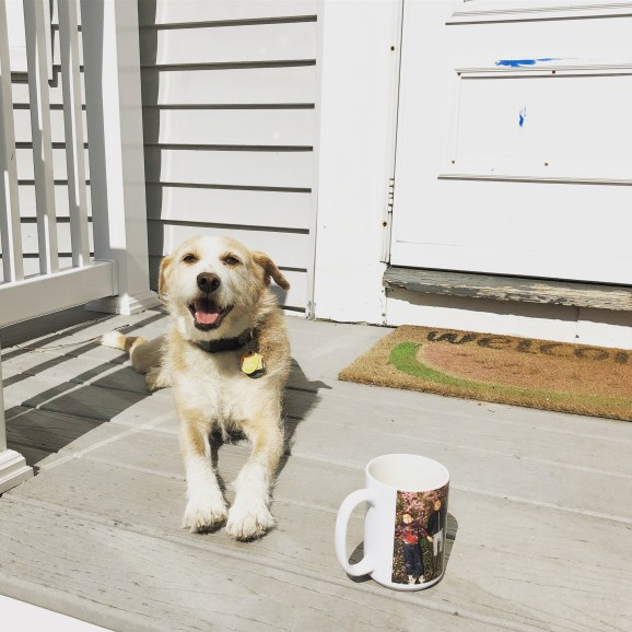 CB2D9469-DE5B-447E-B52C-6AA149CFA59C