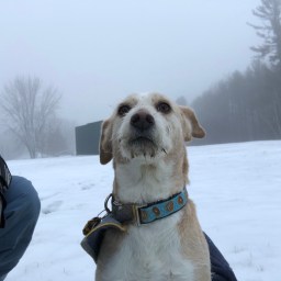 Happy (Day After) Festivus 2020! Sponsored by Vertigo